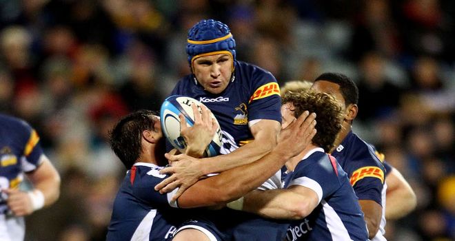 Giteau: Inspired the Brumbies to victory over the Rebels