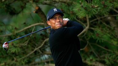 Tiger Woods: Part of USA Presidents Cup team