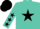 Silk - Turquoise, black star, black stars on sleeves, black cap