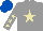 Silk - Grey, beige star, grey sleeves, beige stars, royal blue cap