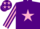 Silk - Purple, pink star, striped sleeves and stars on cap