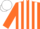 Silk - Orange & white stripes, orange sleeves, white cap