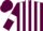 Silk - Maroon and White stripes, Maroon sleeves, White armlets, Maroon cap