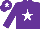 Silk - Purple, White star and star on cap