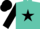 Silk - Turquoise, black star, black sleeves, black cap