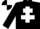 Silk - Black, white cross of lorraine, white and black chevrons on sleeves, black and white quartered cap