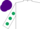Silk - White, dark green spots on sleeves, purple cap