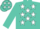 Silk - Turquoise, white stars, turquoise cap, white stars