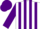 Silk - White, purple stripes on sleeves, purple cap