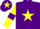 Silk - Purple, yellow star, yellow sleeves, purple armlets, purple cap, yellow star