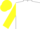 Silk - White, black spot, yellow sleeves and cap