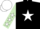 Silk - Black, white star, light green sleeves, white stars, white cap