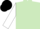 Silk - light green, white sleeves, black cap