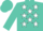 Silk - Turquoise, white stars, white stars on turquoise cap