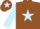 Silk - Brown body, light blue star, light blue arms, brown chevron, brown cap, light blue star