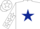 Silk - White, dark blue star, dark blue, white stars sleeves, white, dark blue star cap