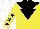 Silk - yellow, black inverted triangle and yoke, black stars on sleeves, white cap