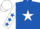 Silk - Royal blue, white star, white sleeves, royal blue stars, white cap