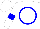 Silk - White, blue circle, blue hoop on sleeves