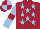 Silk - maroon, light blue stars, maroon armbands on light blue sleeves, quartered cap