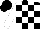 Silk - Black and white checked, white sleeves