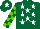 Silk - Dark green, white stars, light green and dark green check sleeves, dark green cap, white star