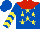 Silk - Royal blue, red yoke, yellow stars, yellow chevrons on sleeves, royal blue cap