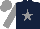 Silk - Dark blue, grey star, grey sleeves and cap