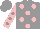 Silk - Grey, pink spots, pink sleeves, grey spots