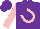 Silk - Purple, pink horseshoe 'rc' on back, pink sleeves