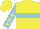 Silk - Yellow, light blue hoop, light blue sleeves, yellow stars and cap