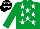 Silk - Emerald green, white stars, emerald green sleeves, black cap, white stars