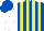 Silk - Royal Blue and Yellow stripes, White sleeves