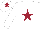 Silk - White body, garnet star, garnet arms, white stars, white cap, garnet star