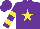 Silk - Purple, yellow star, hooped sleeves
