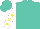 Silk - Turquoise,yellow crown, yellow stars on white sleeves