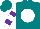 Silk - Teal, white ball, purple hoops on white sleeves