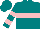 Silk - Teal, pink hoop, pink bars on sleeves, teal cap