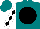 Silk - Teal, black disc, black diamonds on white sleeves