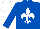 Silk - Royal blue, white fleur de lis and cap