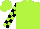 Silk - Lime, black blocks on sleeves