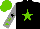 Silk - black, light green star, light green stars on sleeves, black star on light green cap