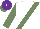 Silk - White, purple sash, sea green sash, sleeves purple, cap purple, sea green peak, white button