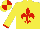 Silk - Yellow, red fleur de lys, yellow sleeves, red cuffs, quartered cap