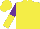Silk - Yellow, purple crown, purple and yellow halved sleeves