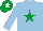 Silk - Light blue, emerald green star, emerald green cap, white star