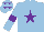 Silk - Light blue, purple star, armlets and stars on cap