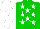 Silk - Green, white stars , sleeves, white cap