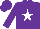 Silk - Purple,white star,sleeves