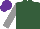 Silk - hunter green, grey sleeves, purple cap